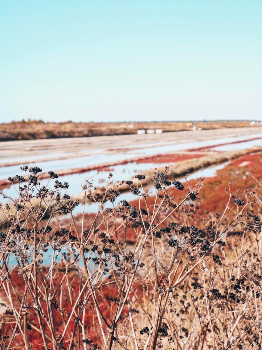 a view of a body of water from a distance