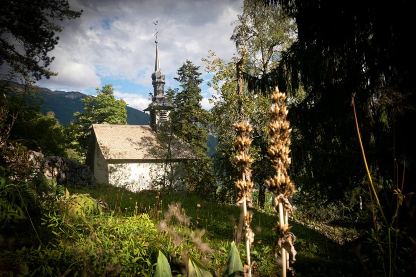 a building in the middle of a forest